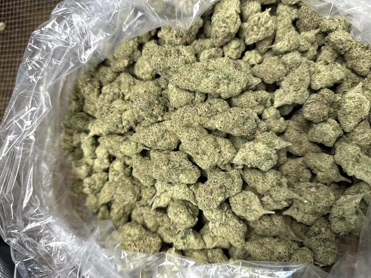 Golden Papaya Flower